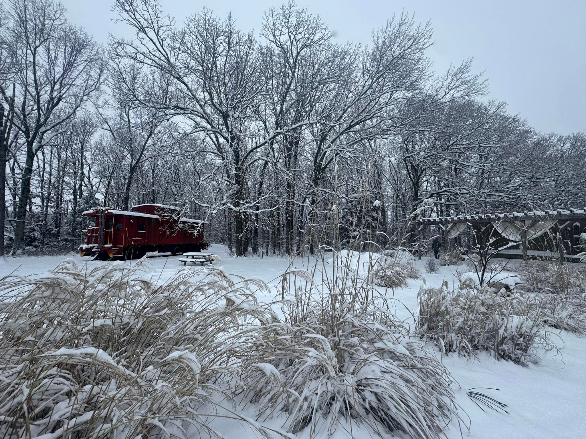 CreedsTown Ranch | Fordland MO