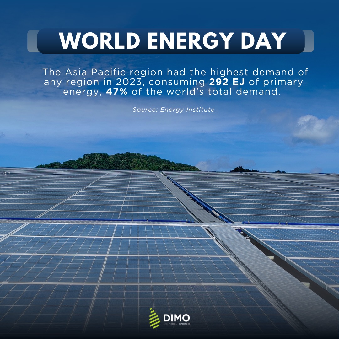 DIMO - On World Energy Day, we highlight the importance of energy ...