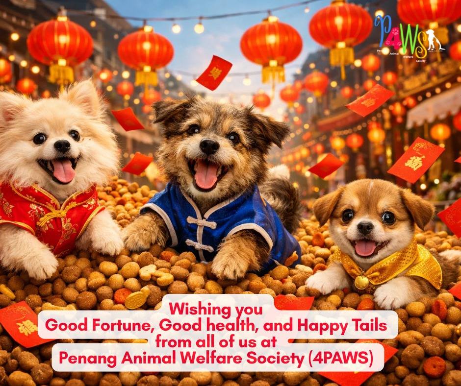 Penang - We would like to advise dog owners to please get licenses for ...