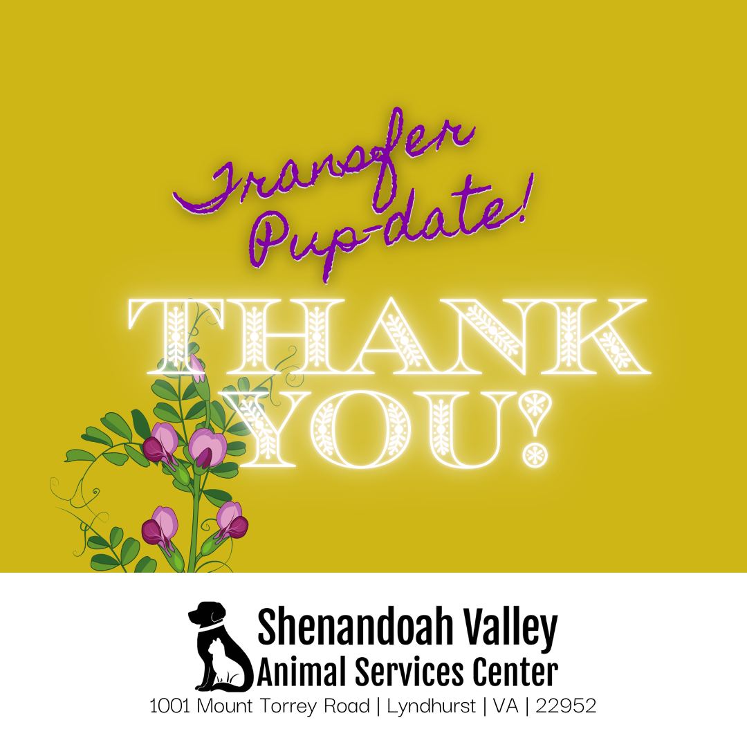 Charlottesville-Albemarle SPCA