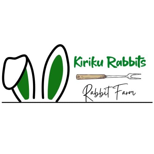 Kiriku Rabbits | Nairobi