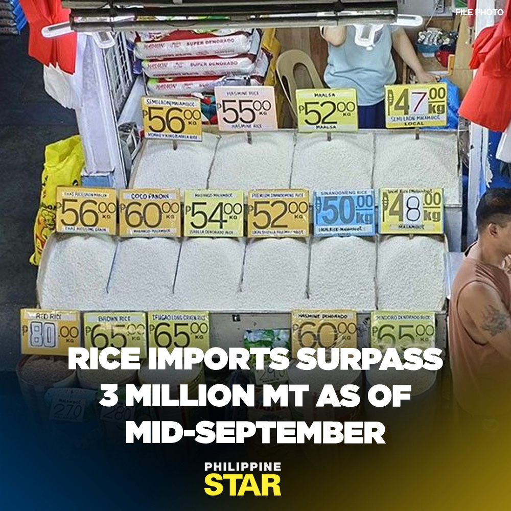 Philippine Star - The country’s rice imports have breached...