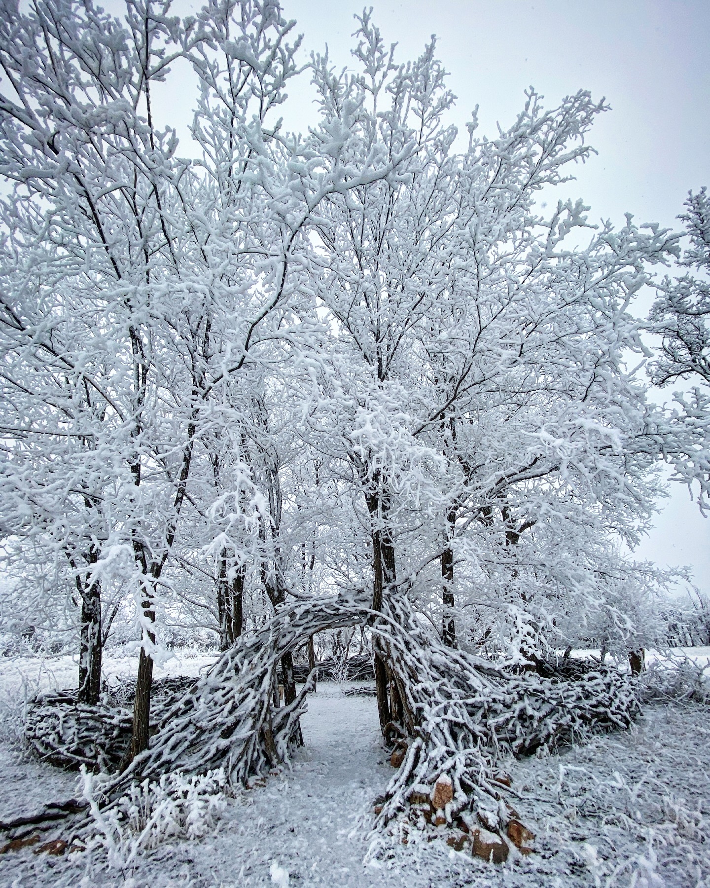 Hummingbird Ranch | Rye CO