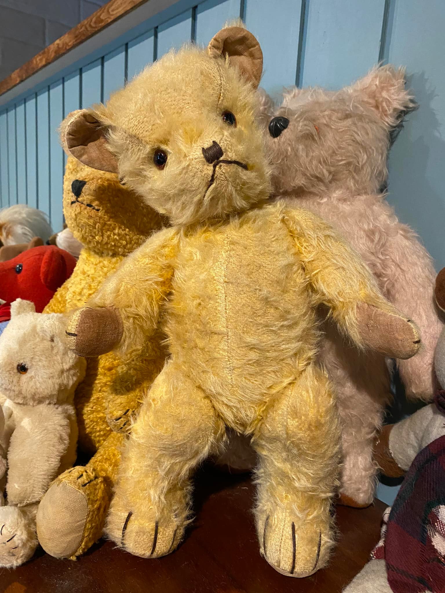 Restoring a vintage New Zealand Pedigree bear to its former charm