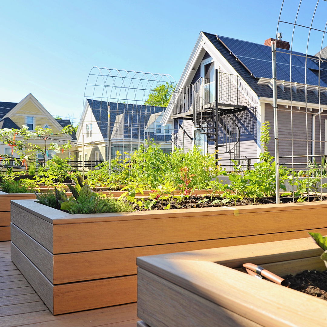 Picture Idea: Recover We Are Thrilled To Announce That Henry Street Farm