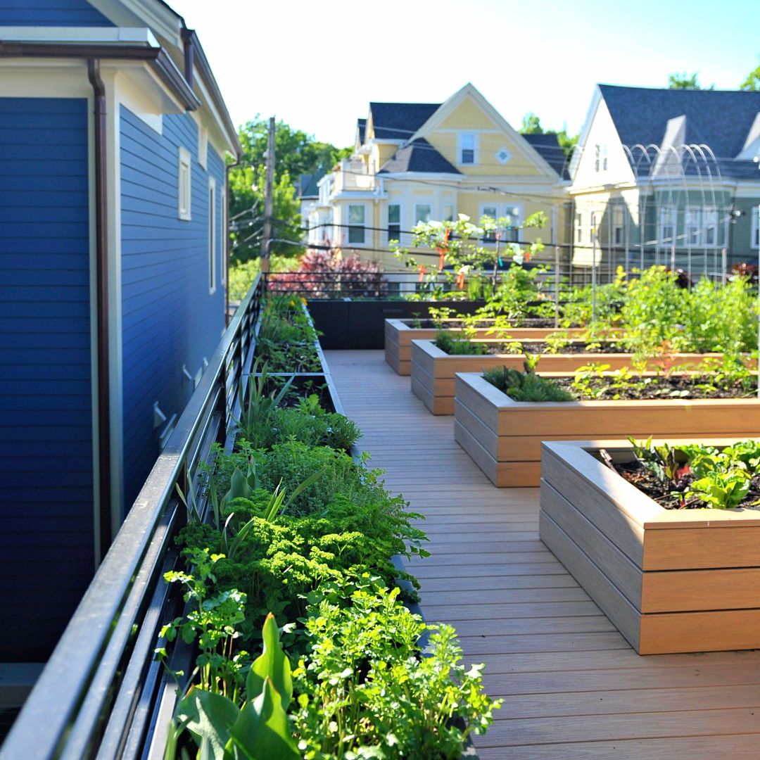 Recover - We are thrilled to announce that Henry Street Farm, a ...