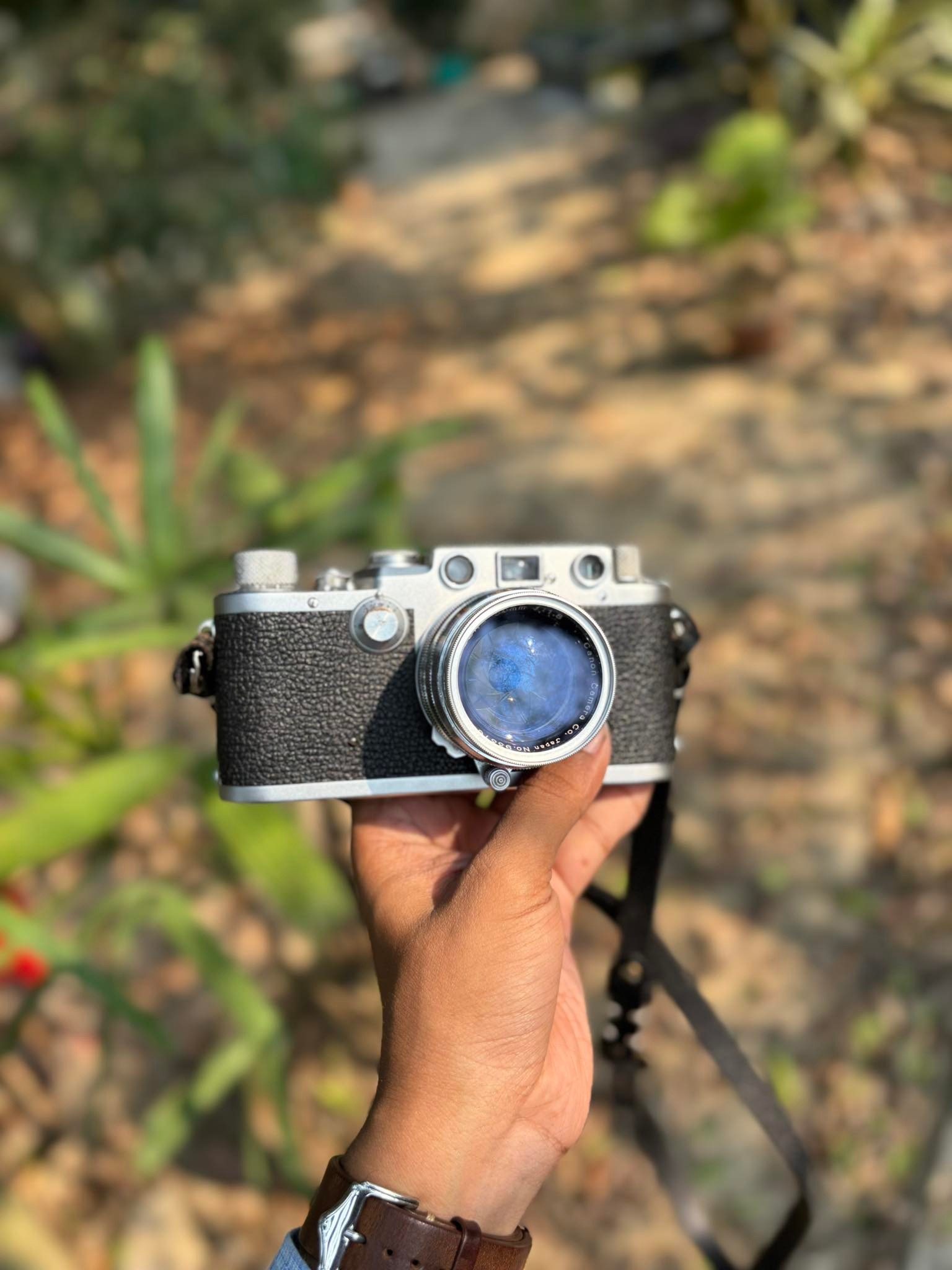Finally got some time to test my new canon serenar 50/1.8