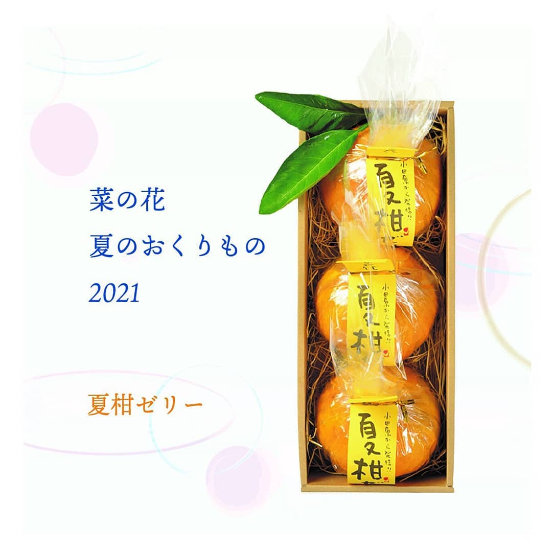 箱根 小田原 和菓子 菜の花 Publications Facebook