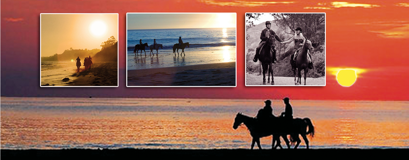 Santa Barbara Beach Rides | Summerland CA