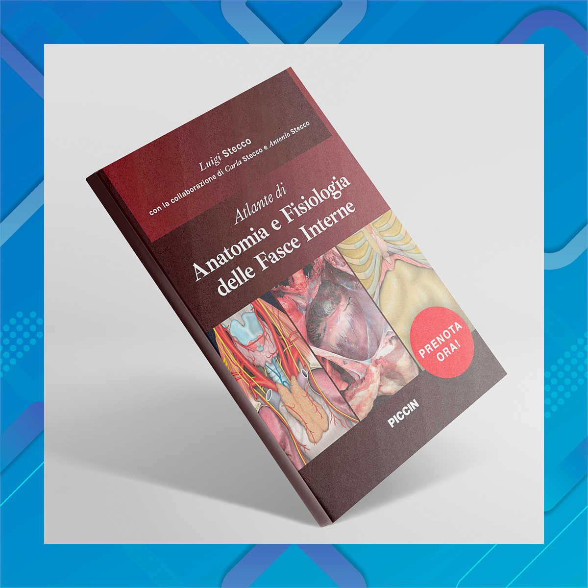 The book 