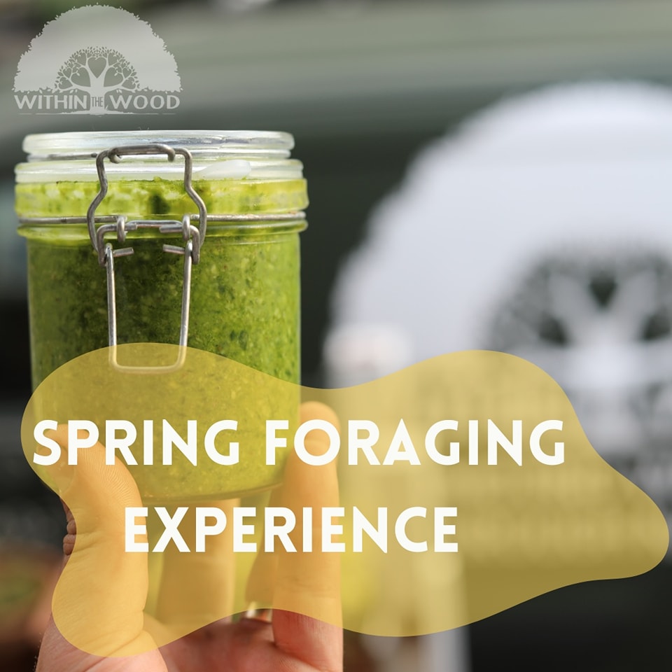 Within The Wood - 🌿 Spring foraging course - 9/6/24 🌿 We... | Facebook