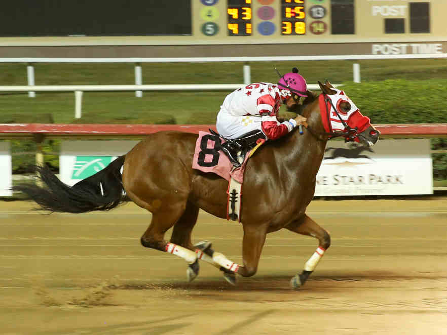 Q-Racing - The sport of American Quarter Horse racing’s all-time ...