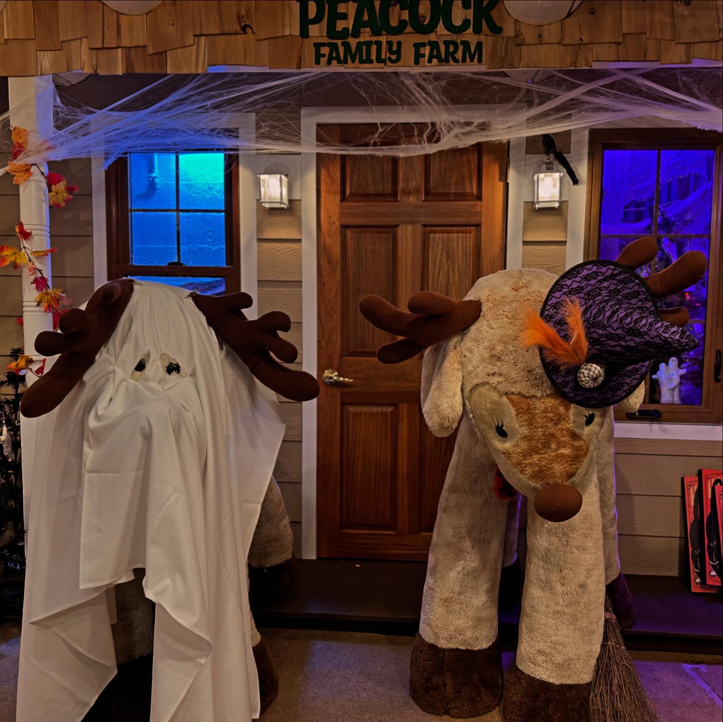 Weddings at Peacock Road Family Farm | Laingsburg MI