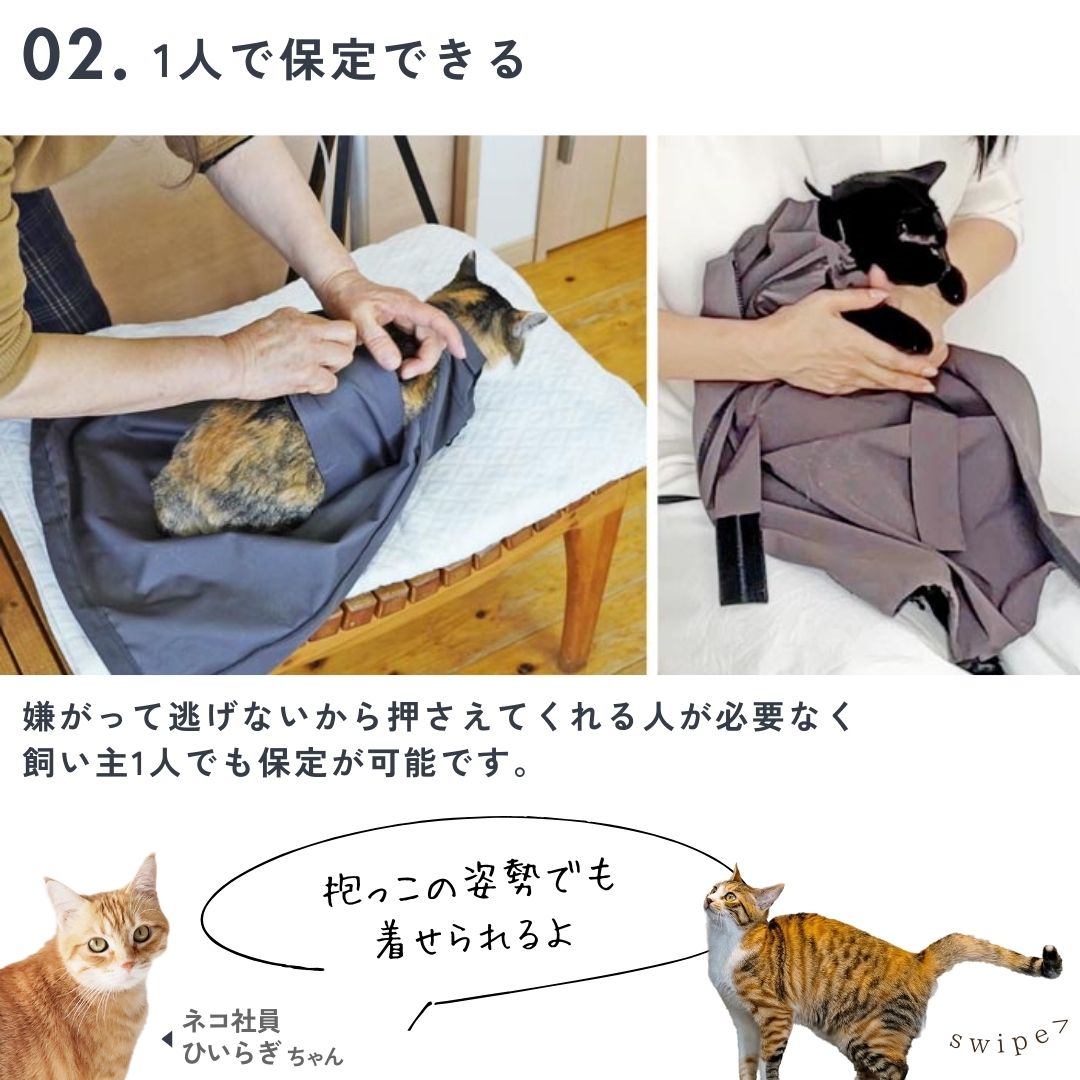 ネコの自宅での皮下点滴でお困りの方へ🐈‍⬛🐈 「入れる」保定袋から