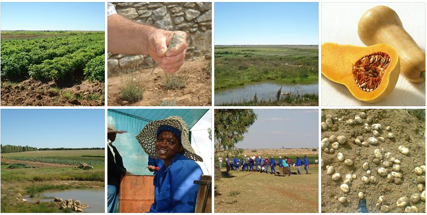 Manyeding Agricultural Cooperative - This is us