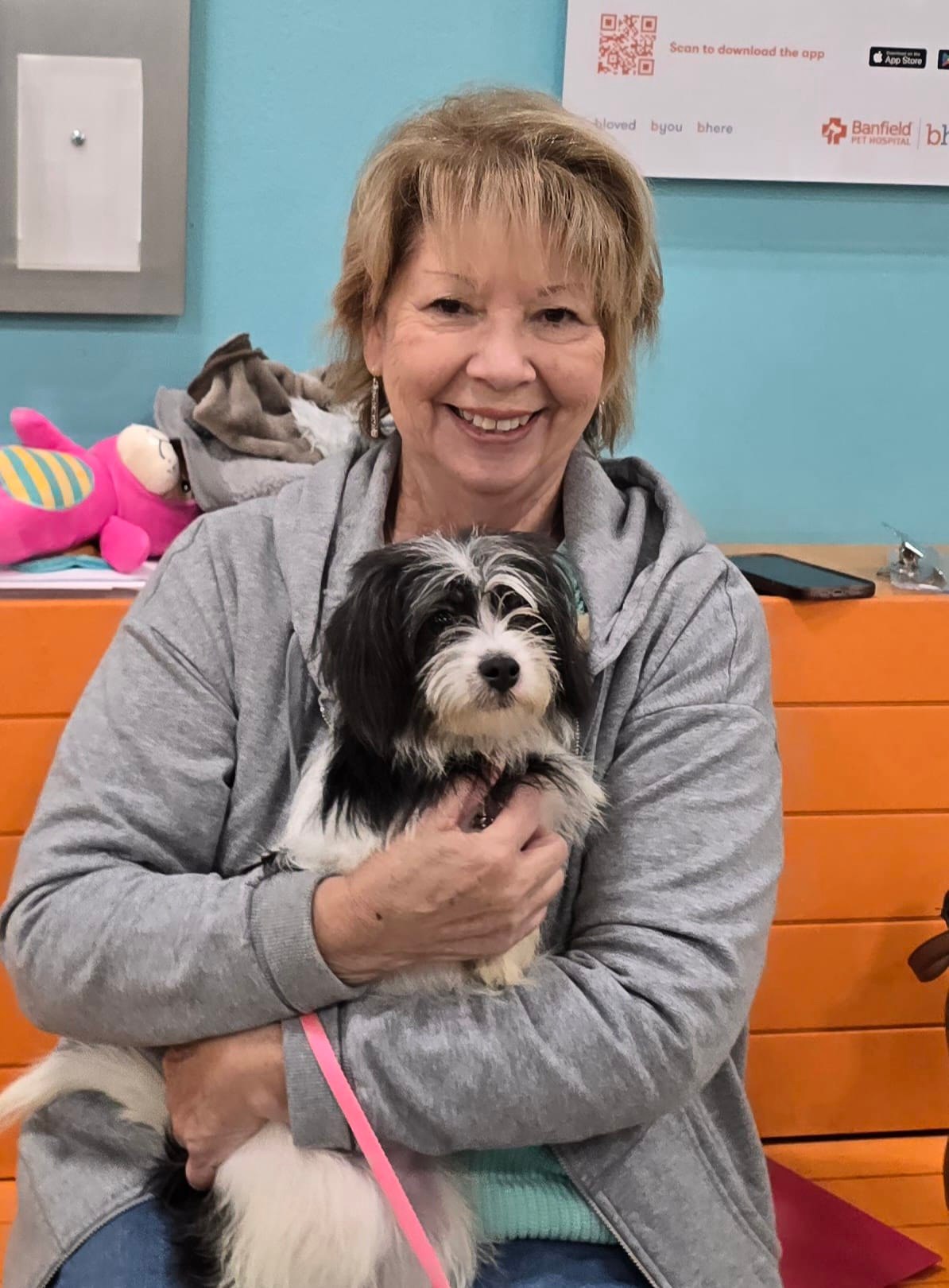 Zoeyゾーイ●犬服●ハンドメイド 胴51 NO.694 Jersey Shore Animal Center celebrates Zoey's adoption