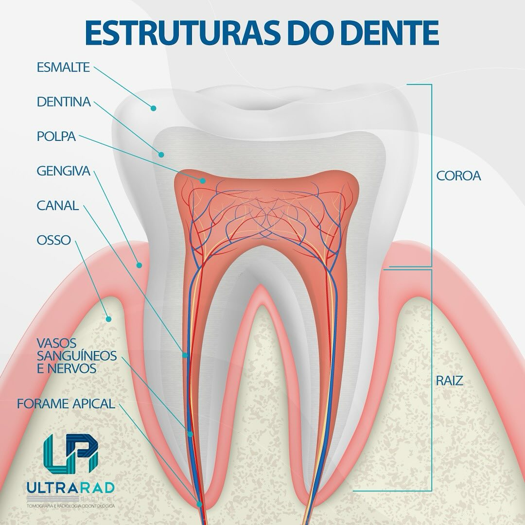 🦷 Figura... - Ultrarad - Radiologia Odontológica Digital