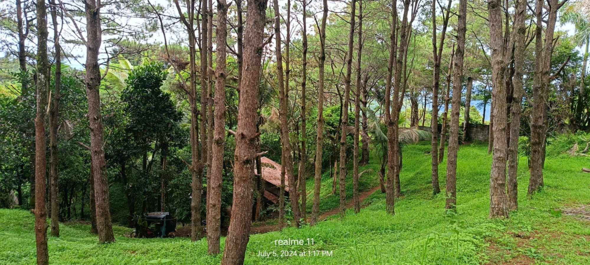 TANAY,BARAS, MORONG ,PILILIA OVERLOOKING LOT FOR SALE GROUP | Facebook