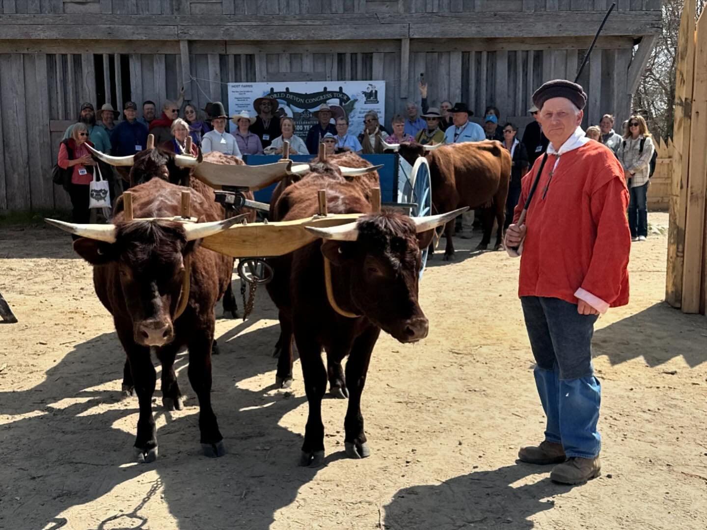 American Milking Devon Cattle Association