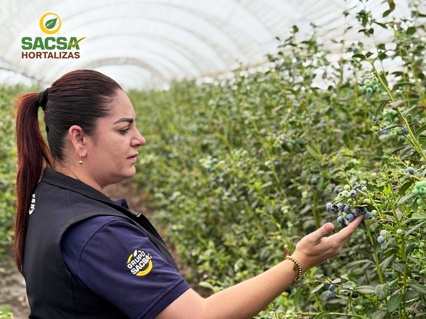 SACSA Bajío - 🌱👍🏽 Colaboramos para brindarte las... | Facebook