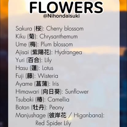 Welcome to Japan added a new photo. - Welcome to Japan
