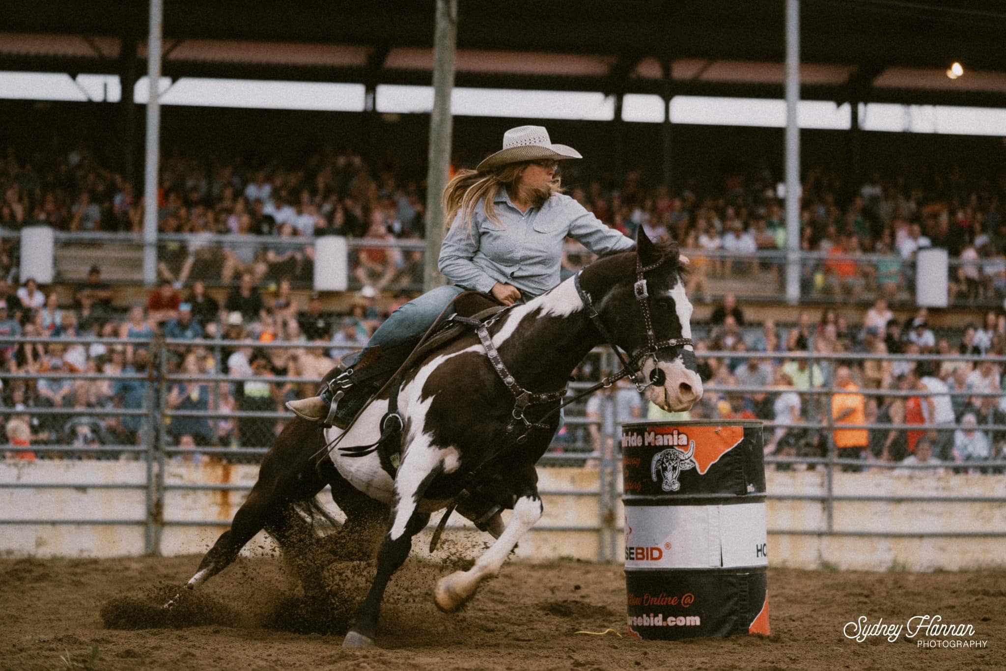 Bullride - Myth: Rodeo animals are abused Fact: This horse is 27 years ...