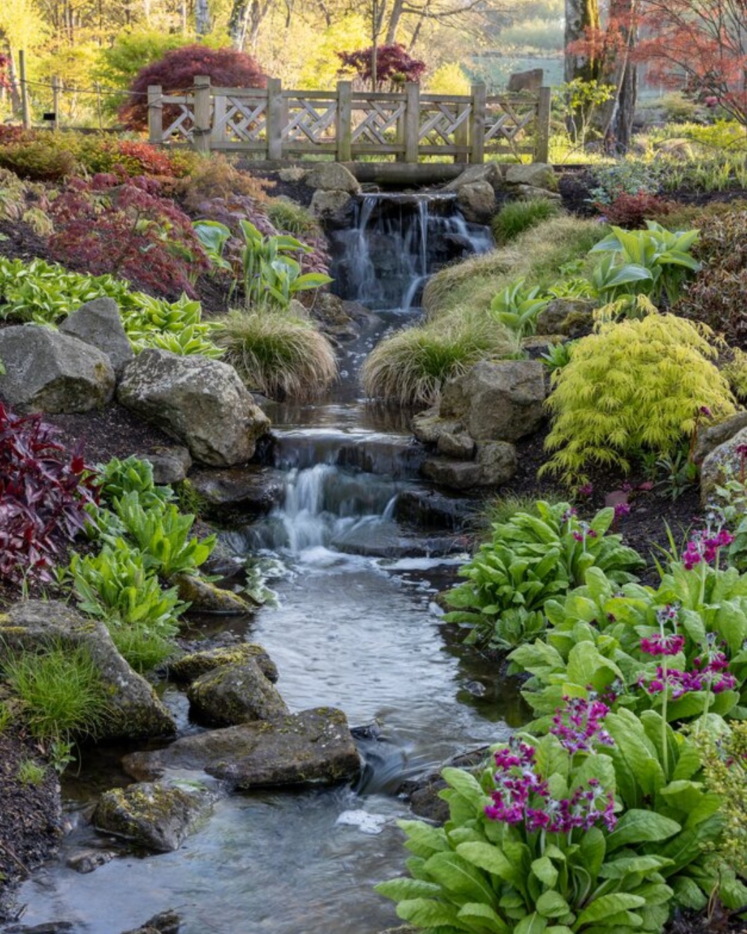 ☀️ Extended garden opening times... - RHS Garden Bridgewater | Facebook
