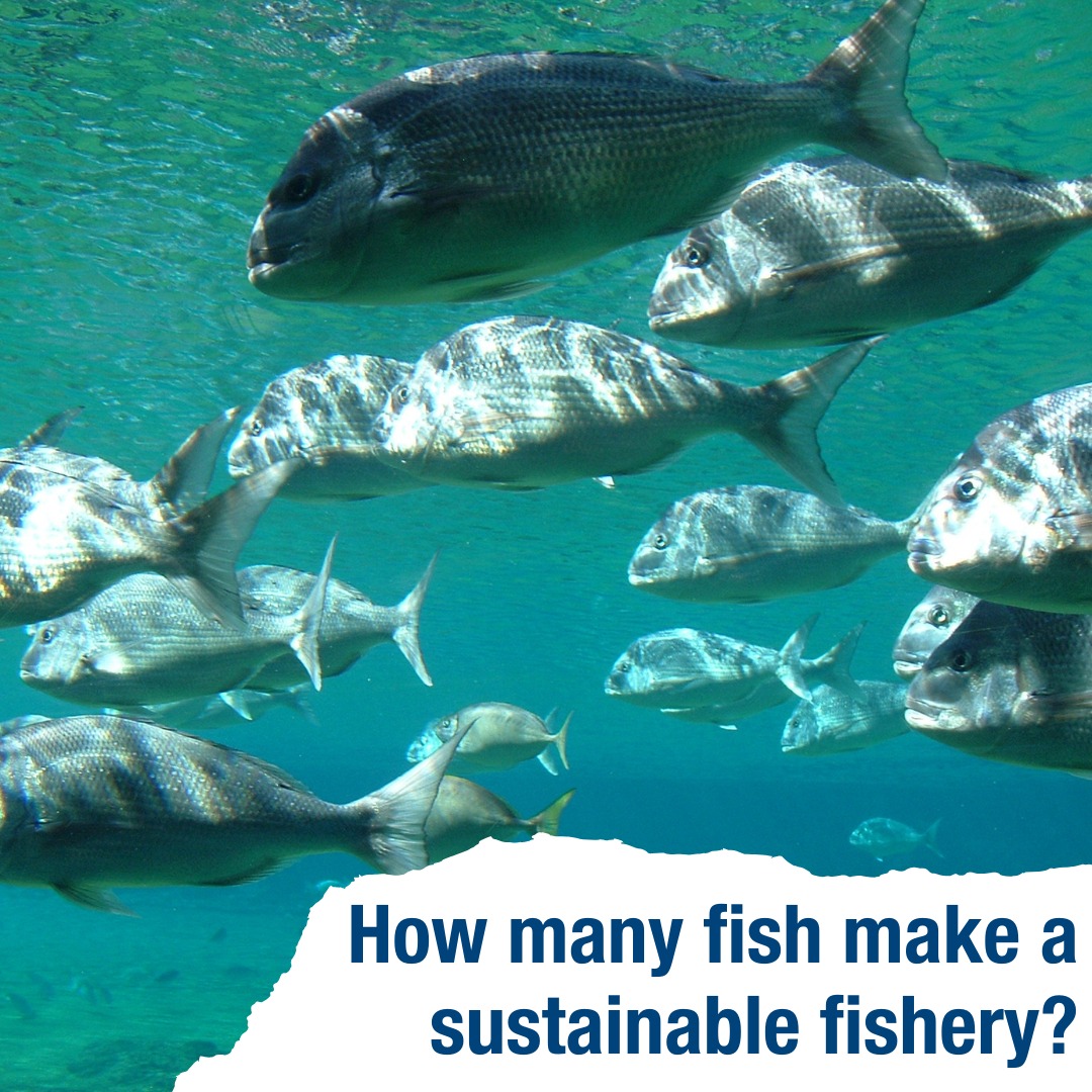 Department - People may tell you “There’s plenty of fish in the sea ...