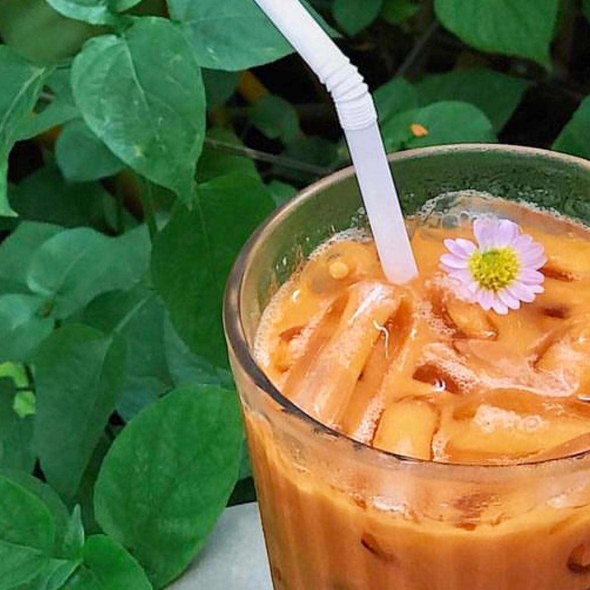 Pad Thai Goong - Our bestselling authentic Thai milk tea... | Facebook