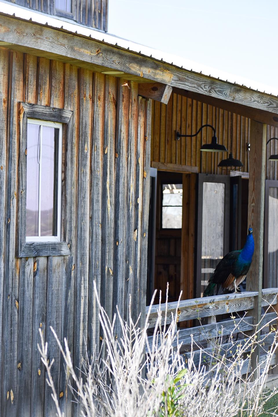 Copperline Ranch | Nashville TN