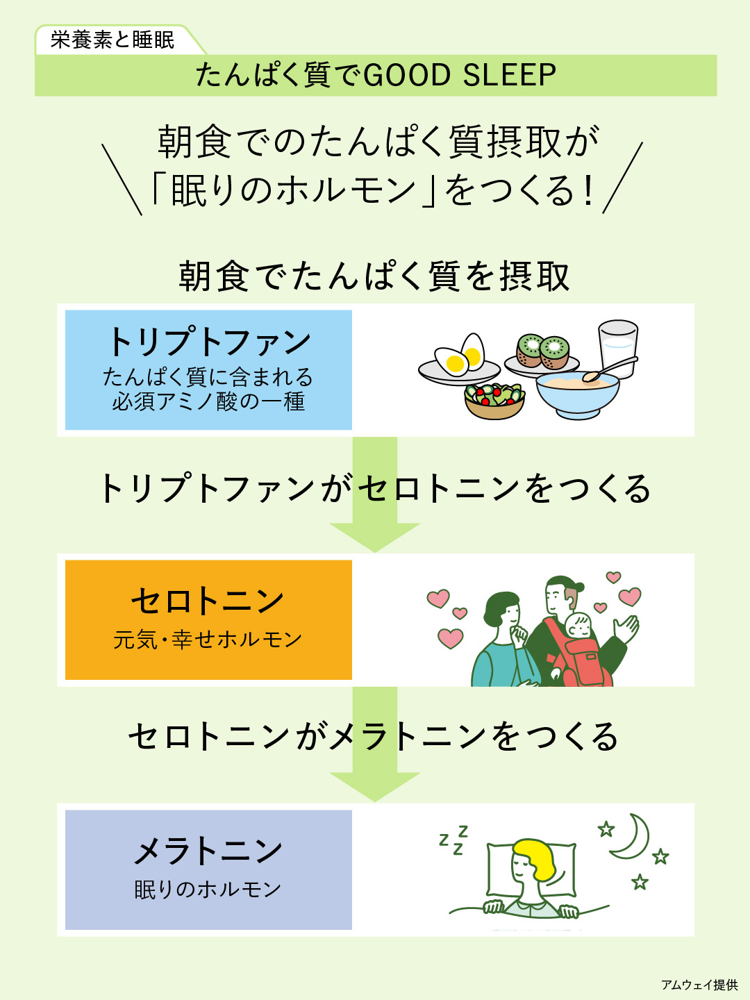 Amway - 【ヘルス＆ウェルネス ライブラリー 基礎栄養編追加 