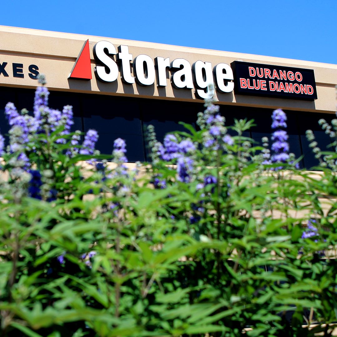 Storage Durango Blue Diamond