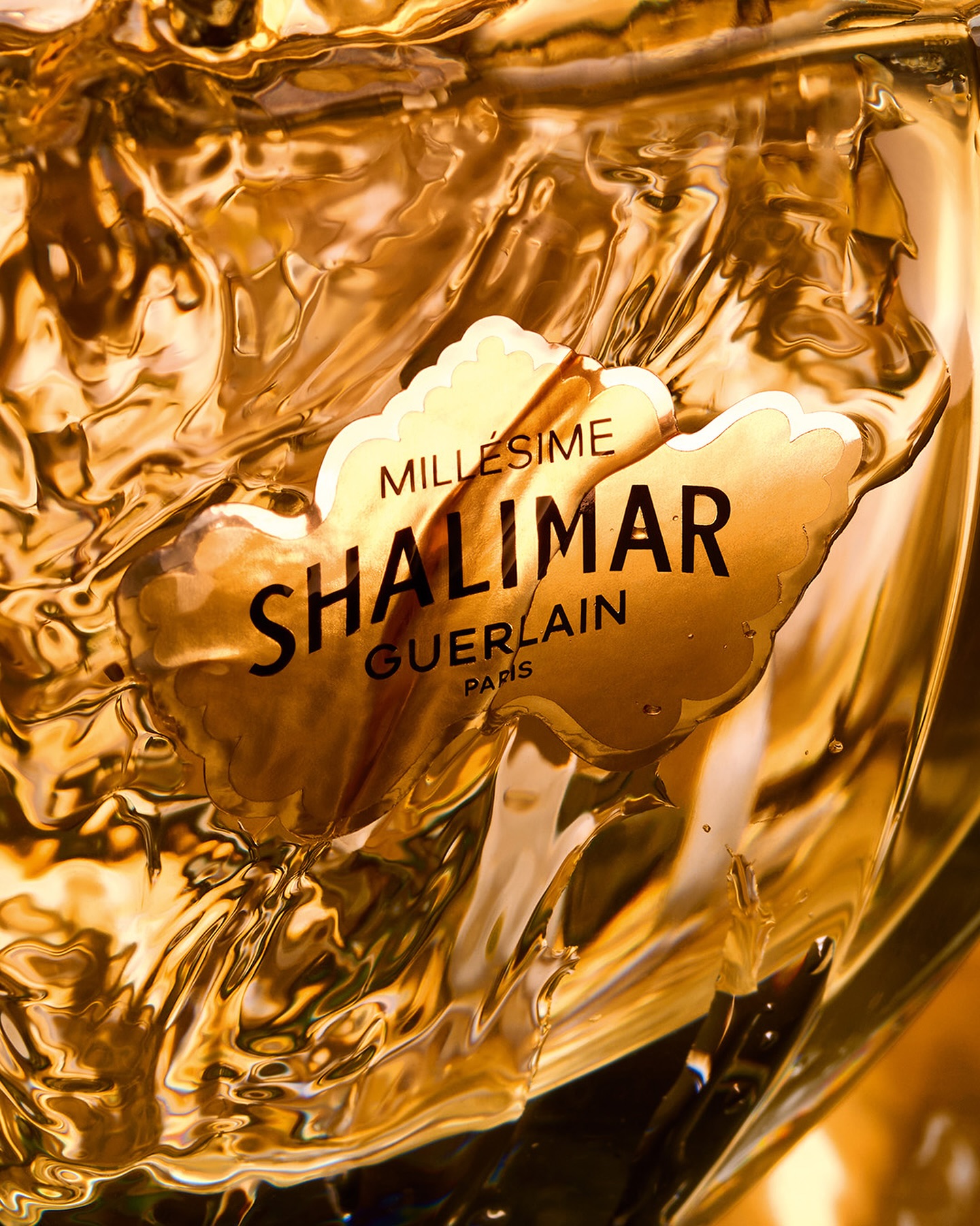 Discover Shalimar Millésime Jasmin, the new limited-edition. A