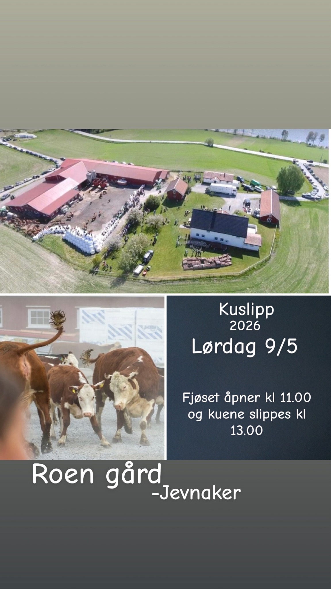 Kuslipp Roen gård Jevnaker