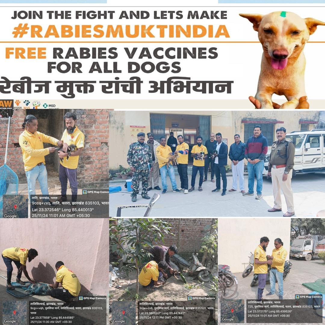 WVS Hope - Day 1 - Rabies Mukta India programme we carried... | Facebook