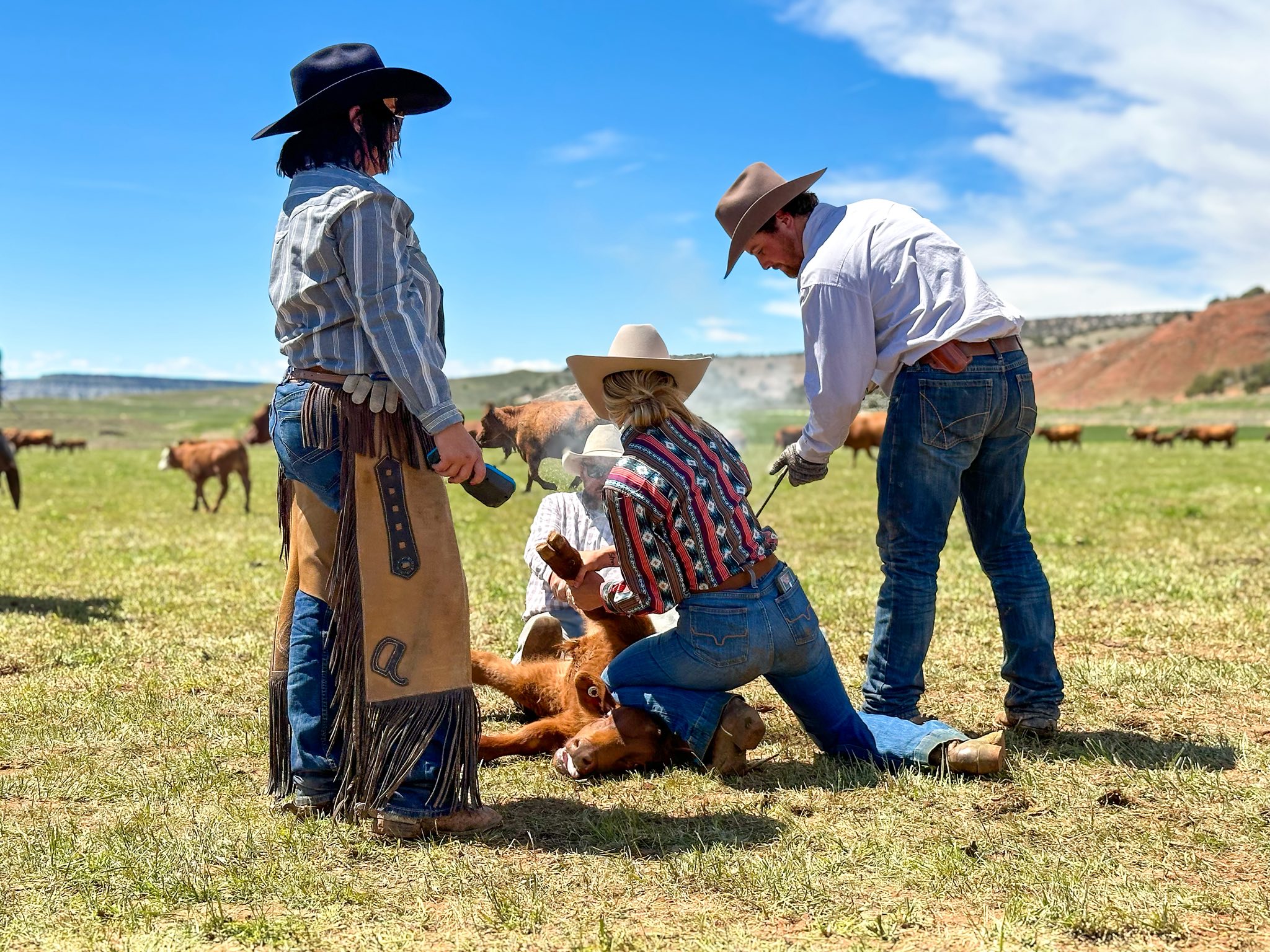 Ranch Help Wanted | Hey y’all! Putting some feelers out there | Facebook