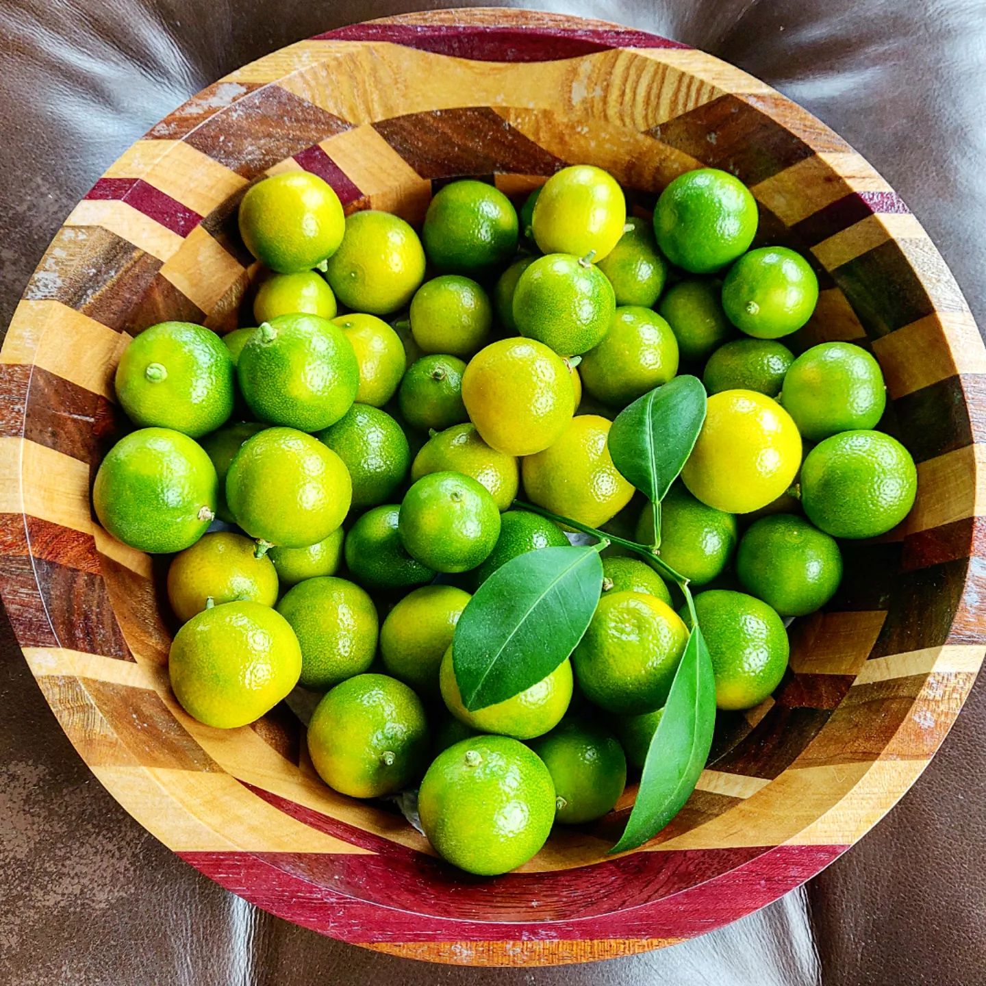Botanically Speaking