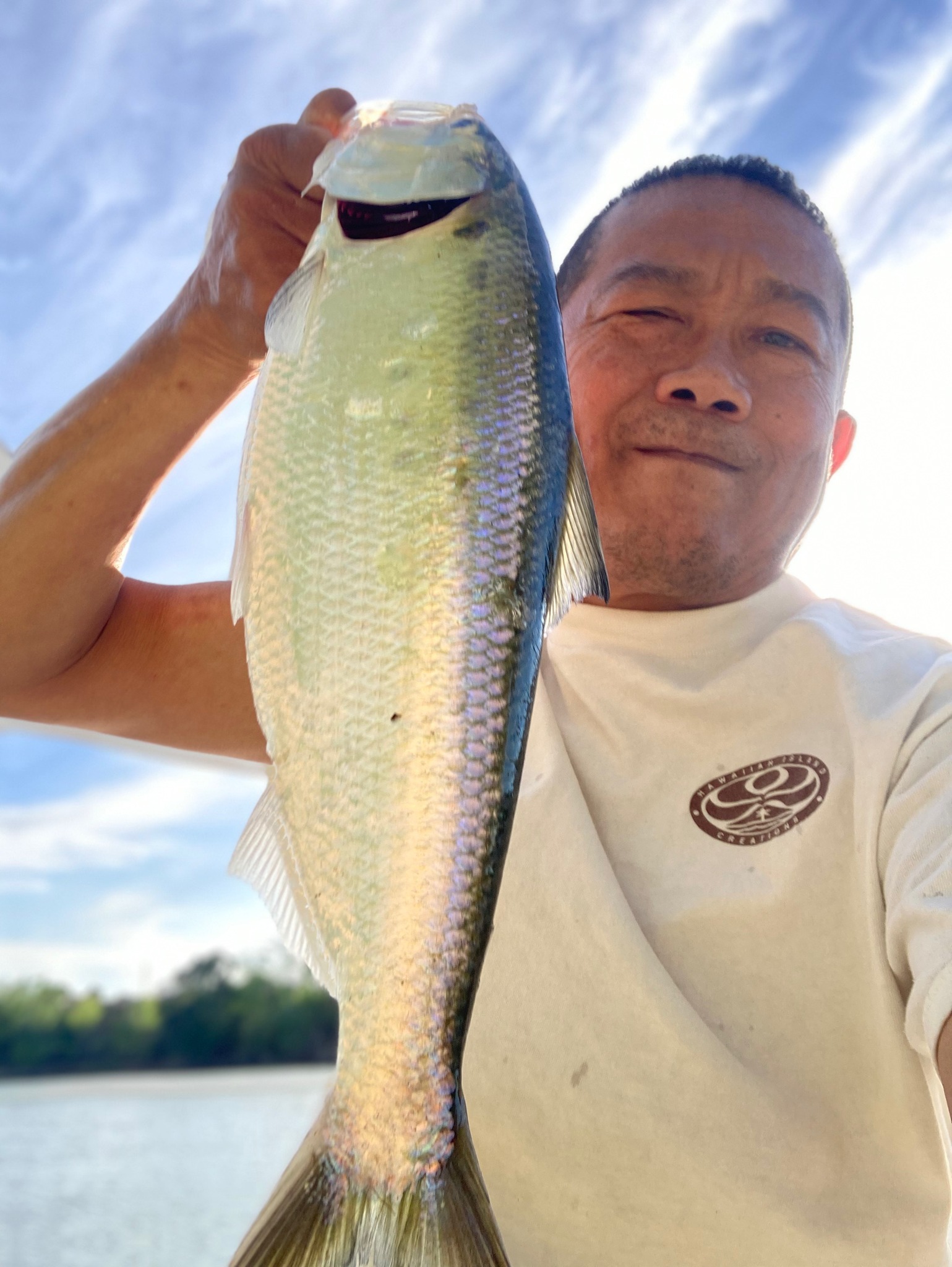 best saltwater trolling reels lever drag TLD30IIA TLD 2-Speed Reel Shimano GEECRACK BELLOWS SHAD 3.8 jig-heads Rod clamps are included Color:Impact Ayu (PB39)