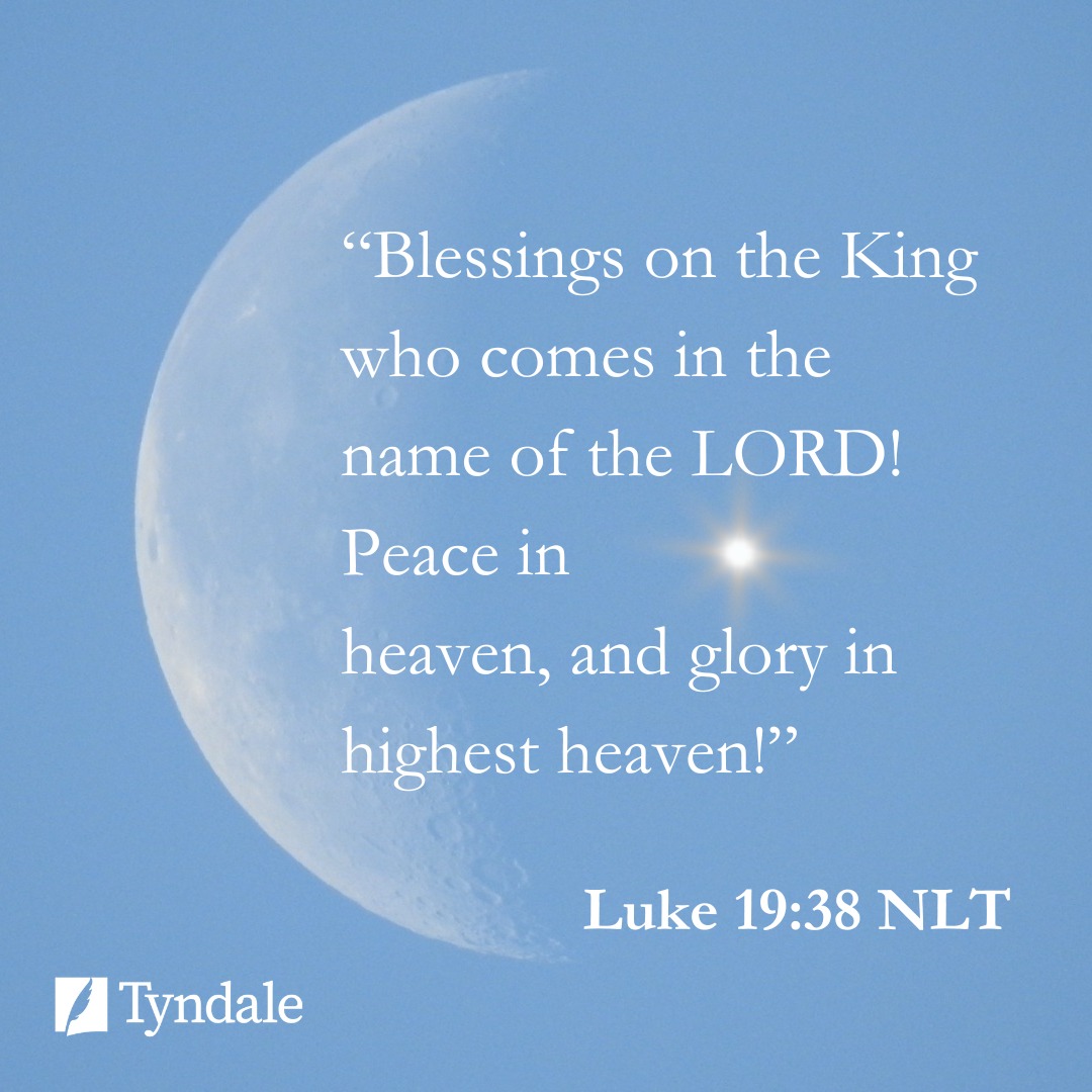 Tyndale - 