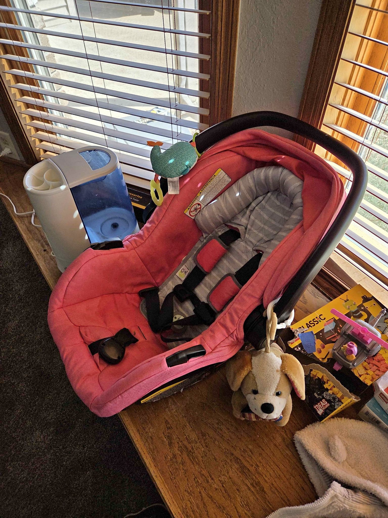 maxi-cosi mico max plus Pro+ Infant Car Seat Oyster Shell Amazon.com: OLIGHT Arkflex Adjustable baby name shirt the seat cover is Size:8'x11.5'