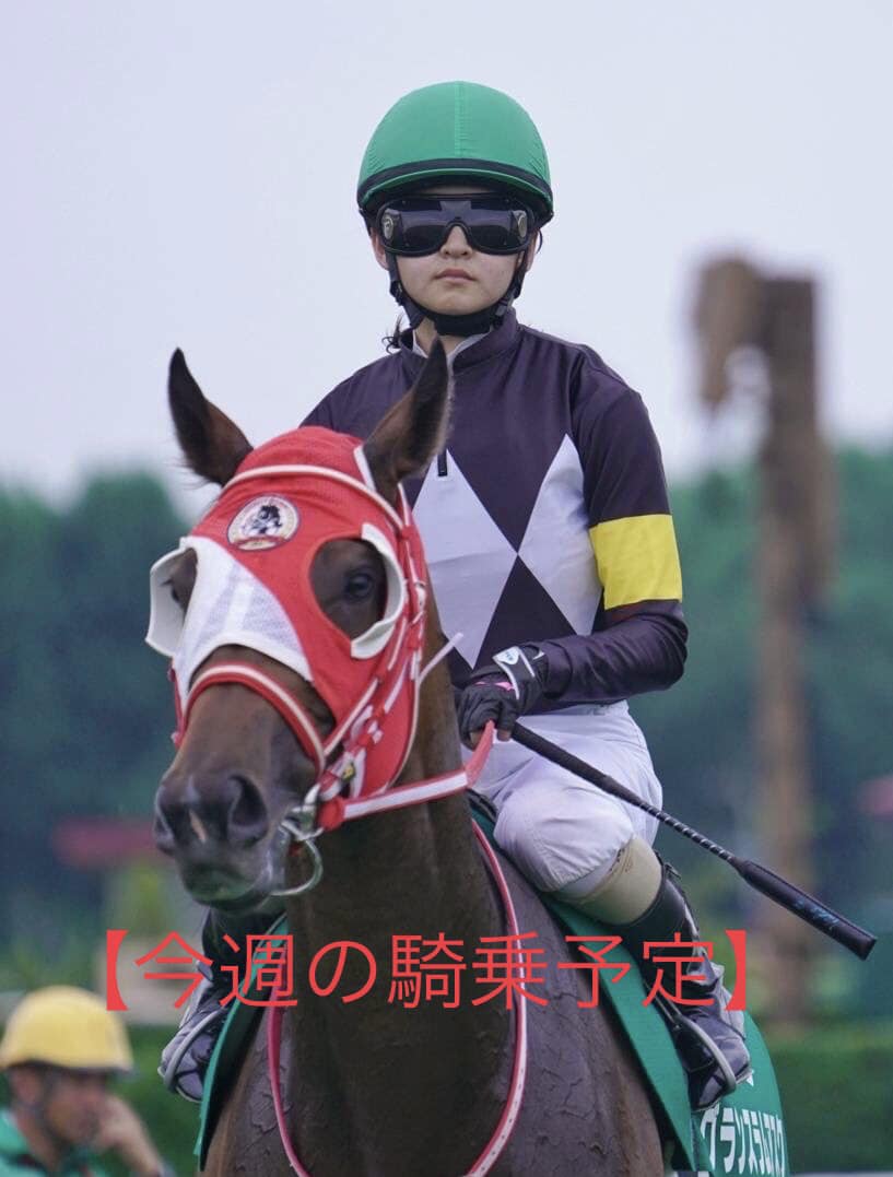 古川奈穂30枚限定直筆サイン競馬JRABBM インフィニティ完売品