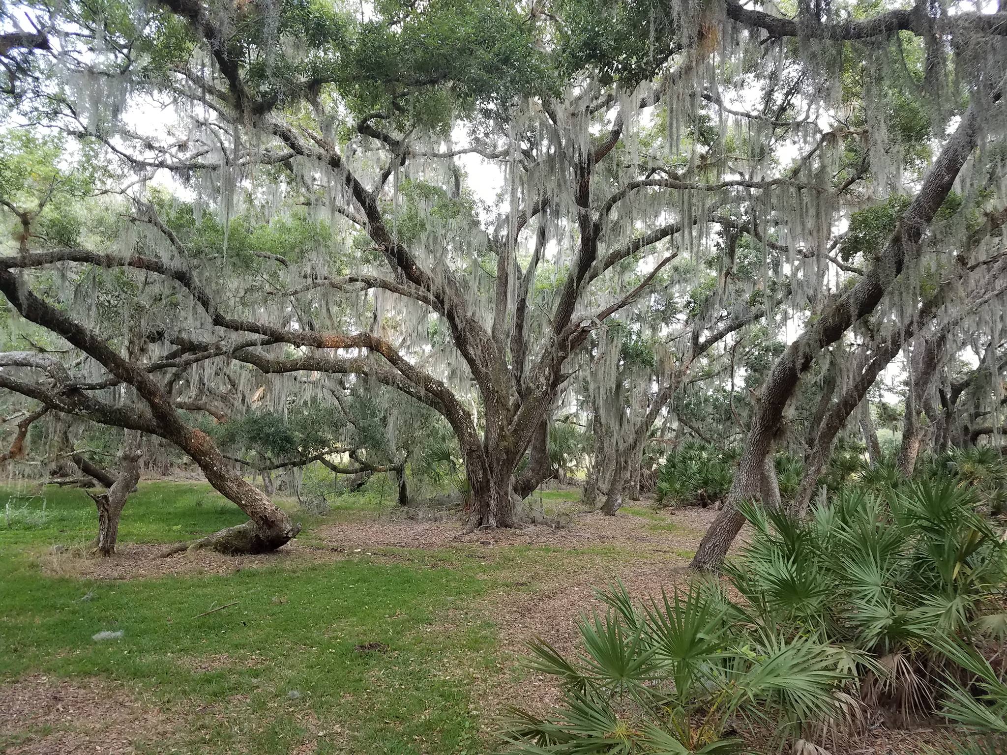 River Ranch... - River Ranch Property Owners Association, Inc