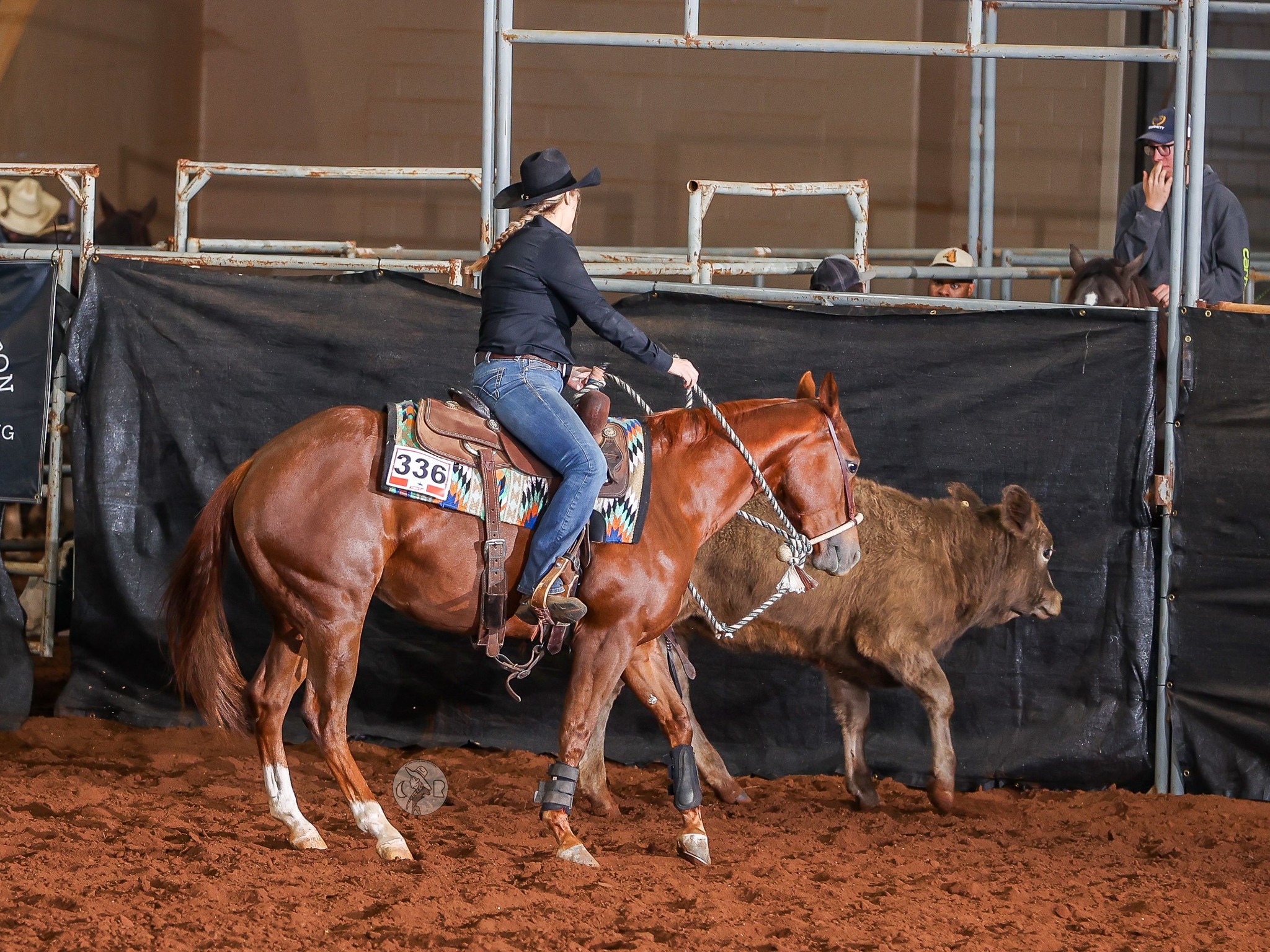 Ruckus Performance Equine | Springfield TN