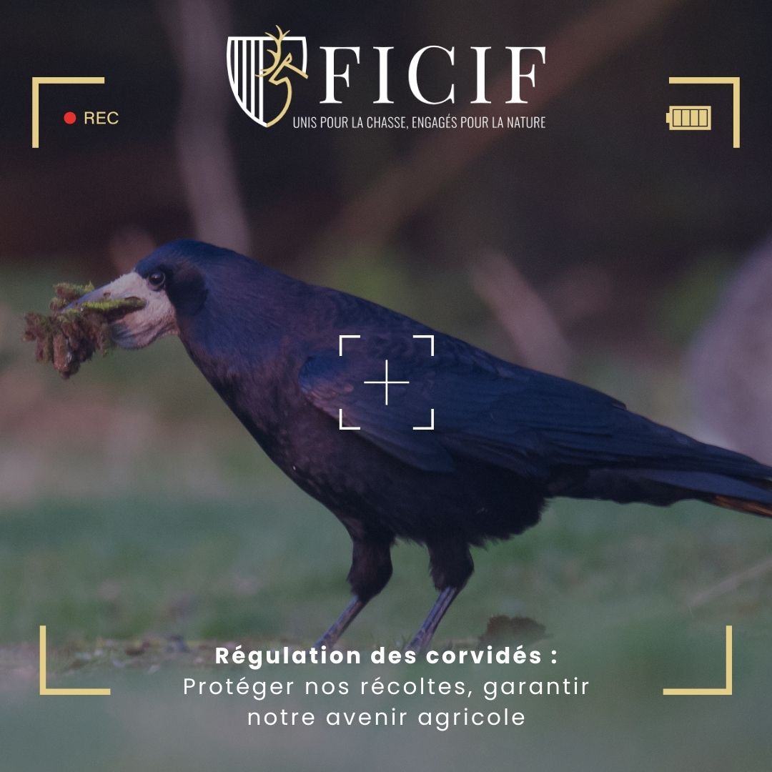Fédération des chasseurs d’Île-de-France - Les tarifs des validations ...