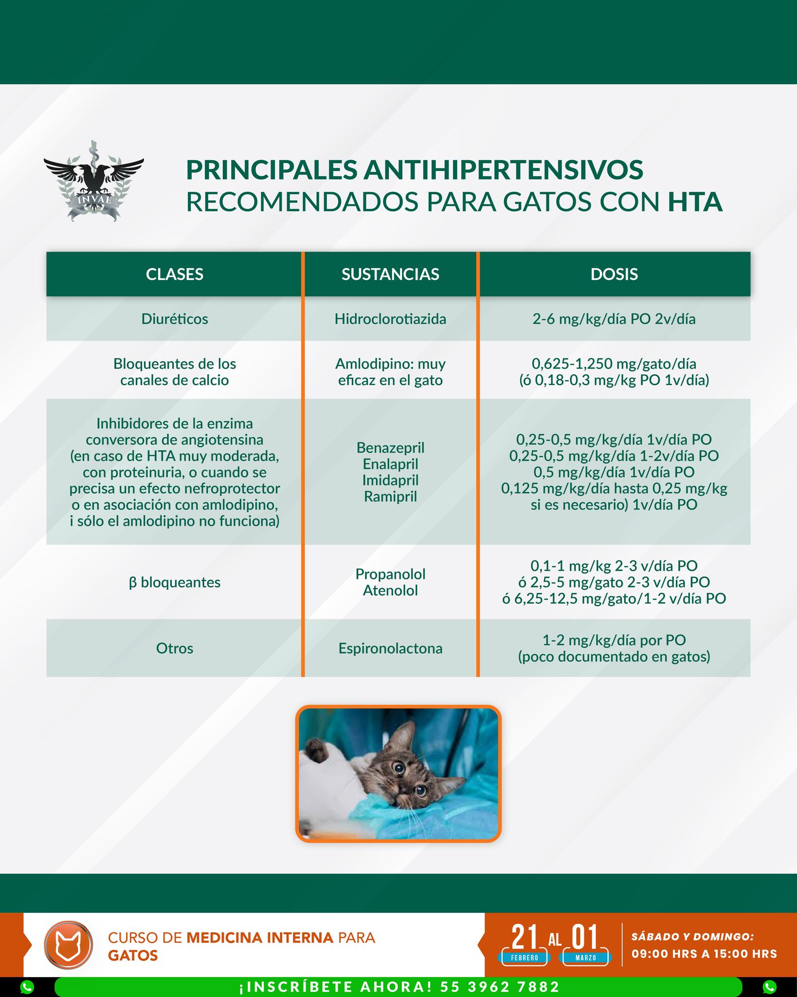 INVAE - La función de la glándula tiroidea se evalúa mediante la ...