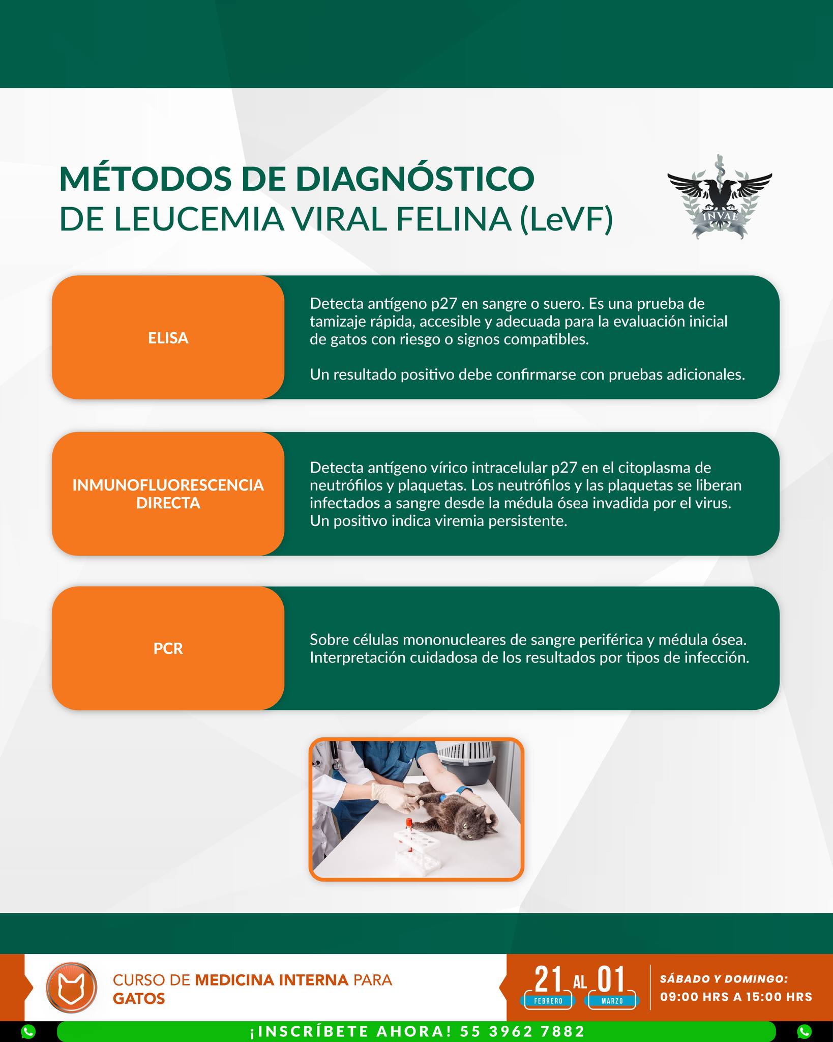 INVAE - La función de la glándula tiroidea se evalúa mediante la ...