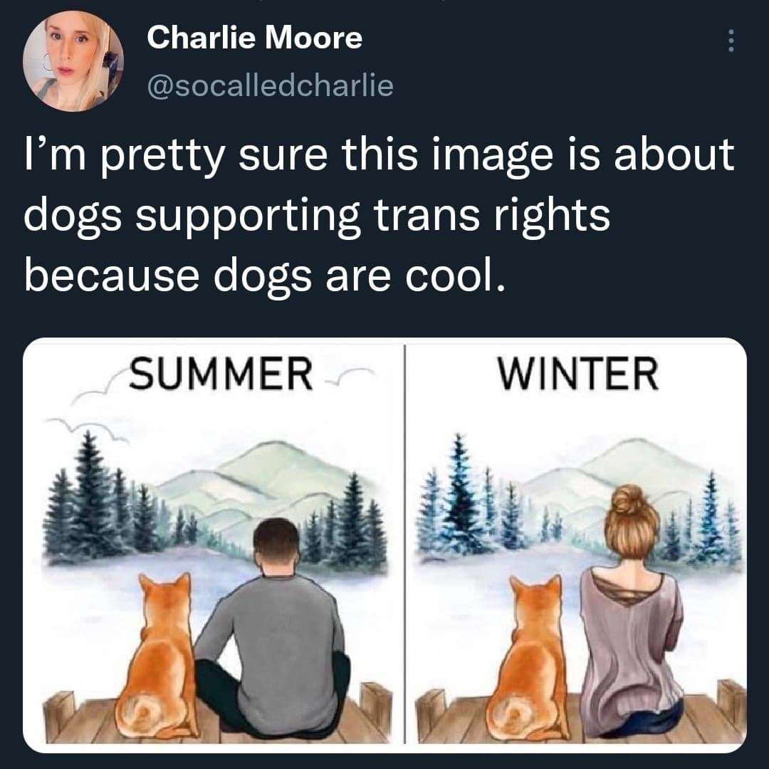 The Aesthetic - dogs are very cool | Facebook