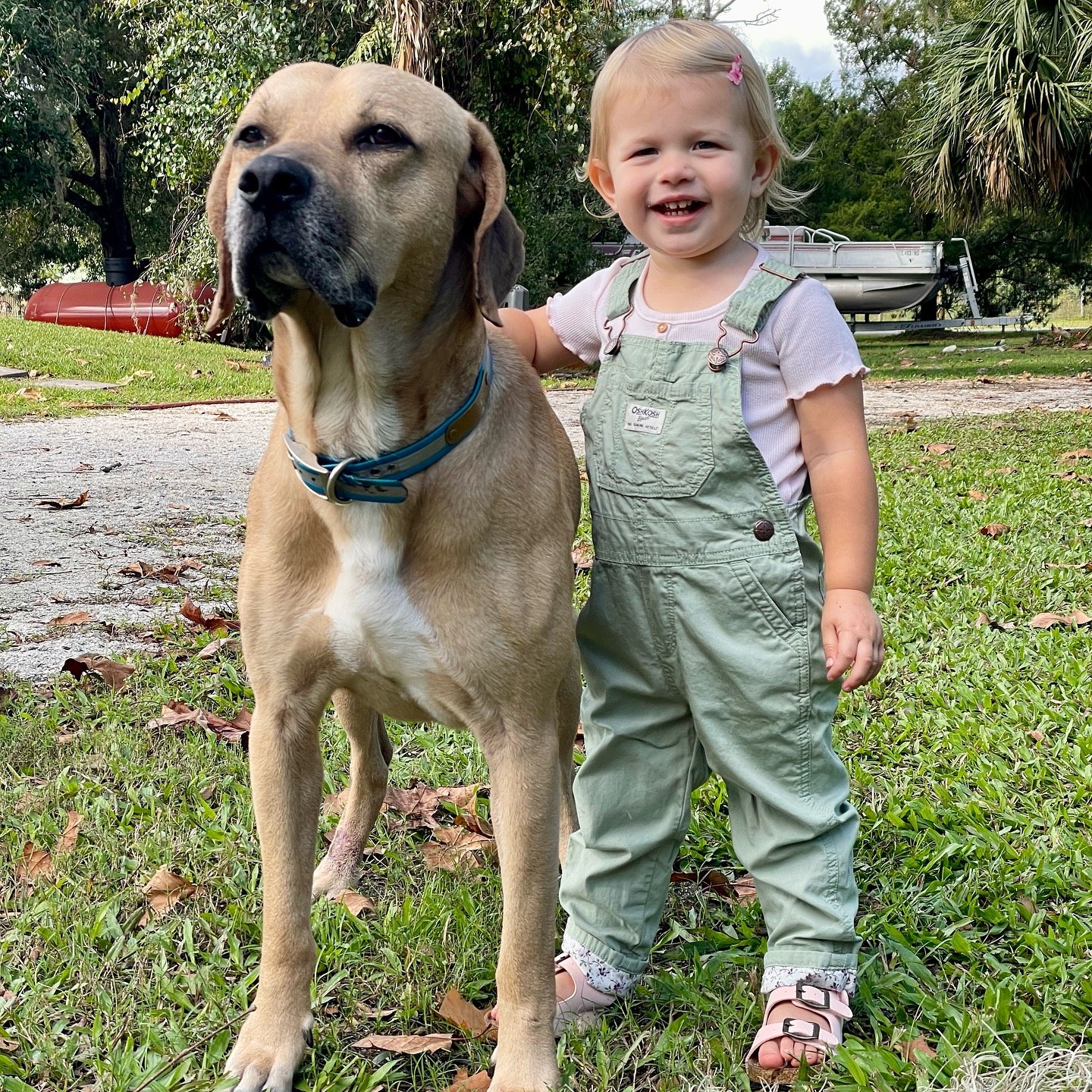 Python - My pride & joy and her personal security. Clementine ain’t ...
