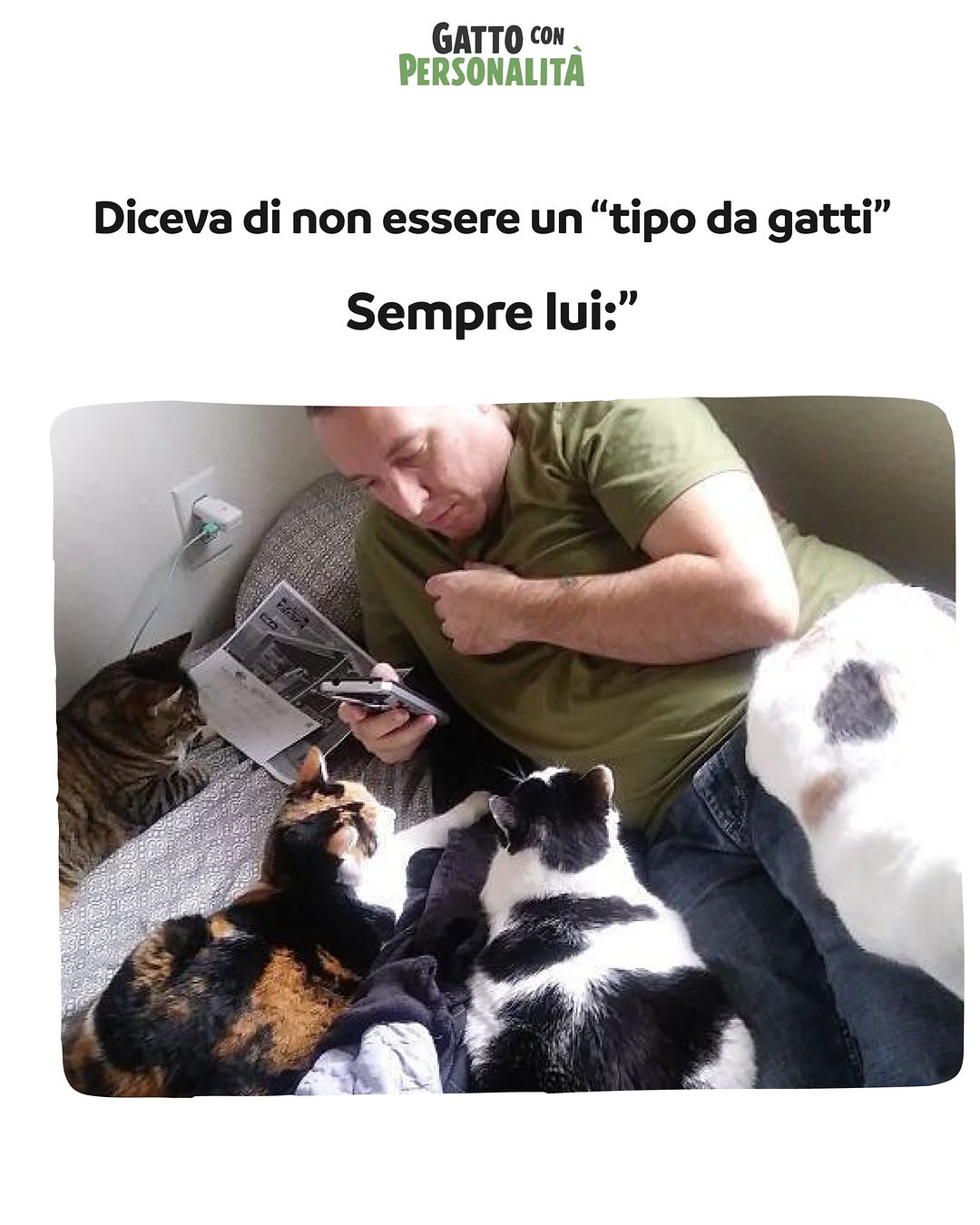 Addio Meme Gatto 2034x2034
