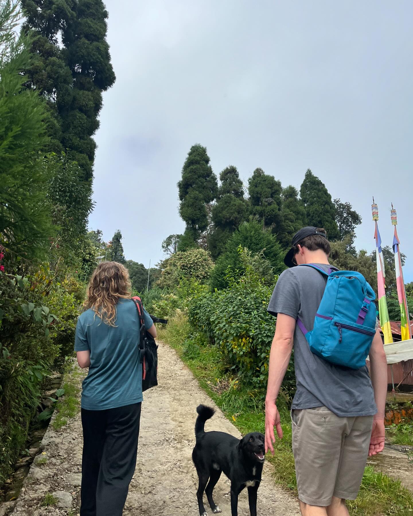 Rimbick Nature Stay and Cafe | Darjeeling